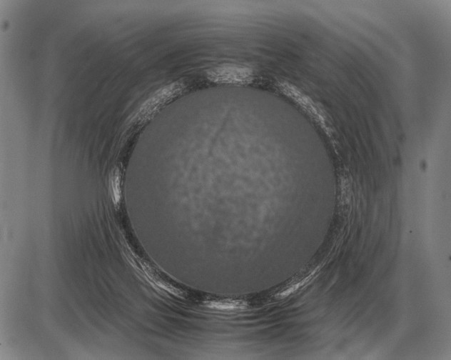 X0000085270069200703231751