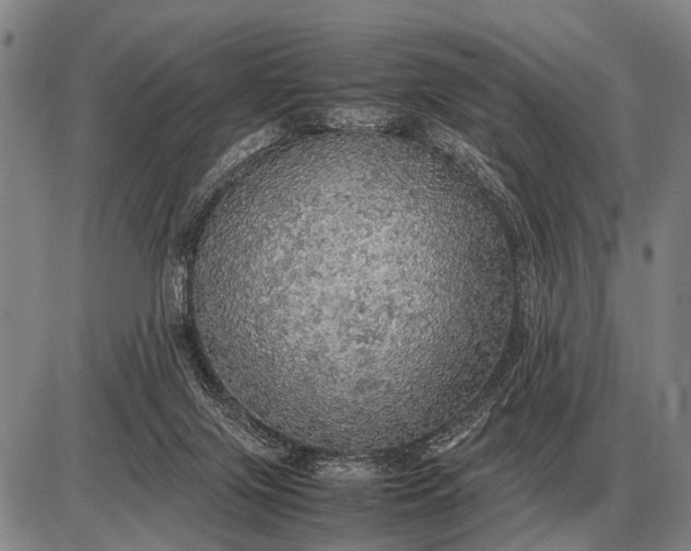 X0000085270071200703231751