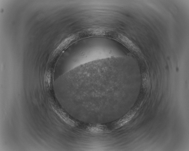 X0000085270072200703231751