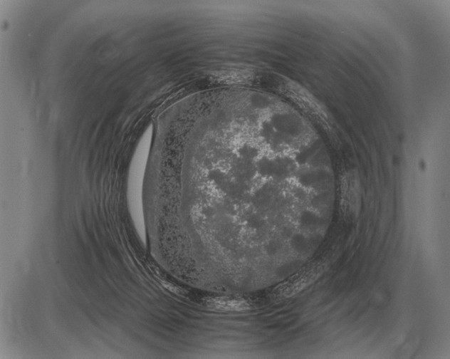 X0000085270073200703231751