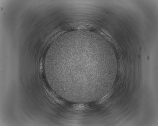 X0000085270074200703231751