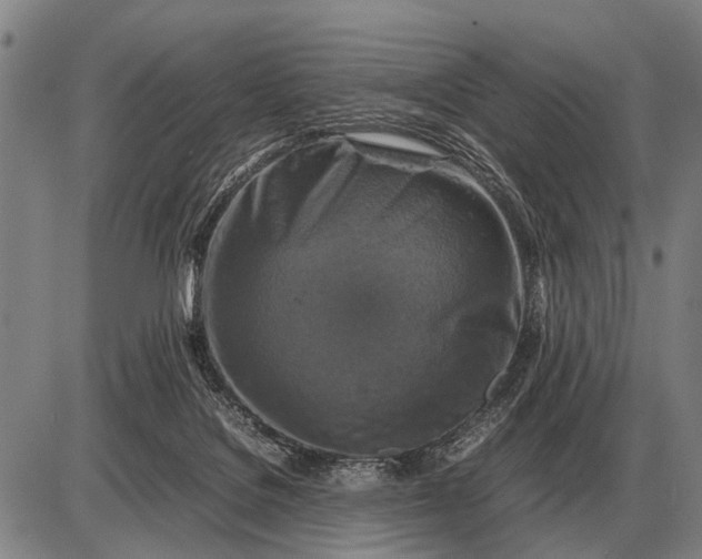 X0000085270076200703231751