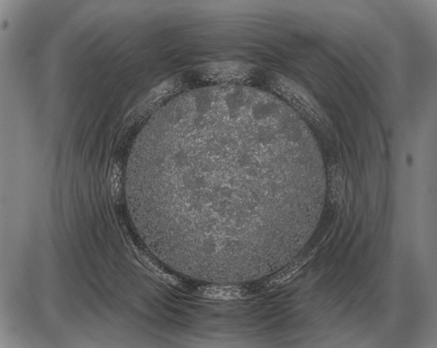 X0000085270077200703231752