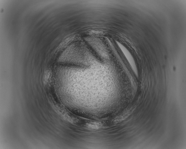 X0000085270079200703231752