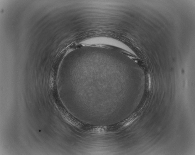 X0000085270080200703231752