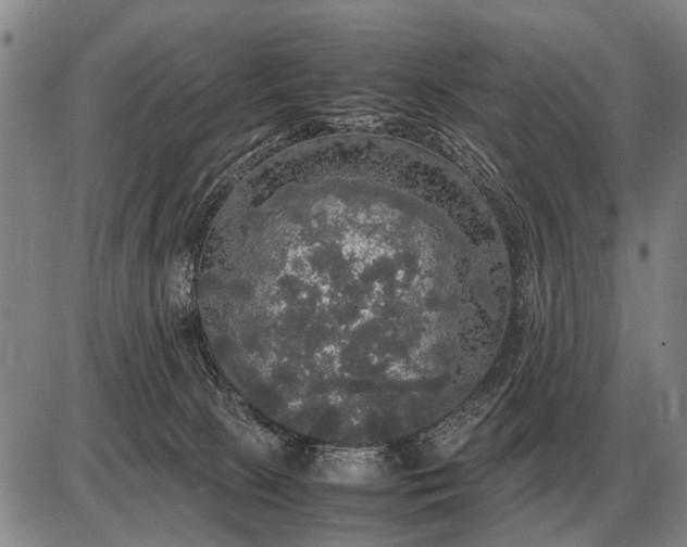 X0000085270081200703231752