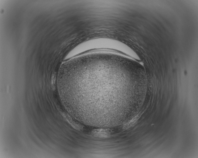 X0000085270082200703231752