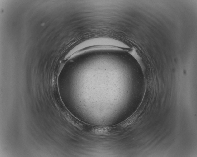 X0000085270084200703231752