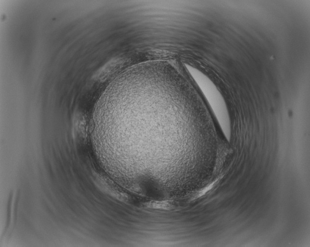 X0000085270086200703231752