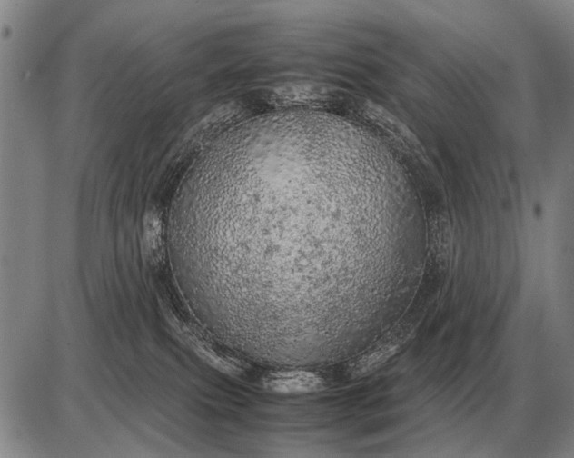 X0000085270087200703231752