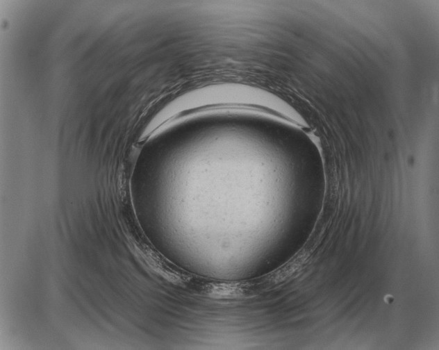 X0000085270088200703231752