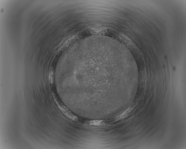 X0000085270090200703231752