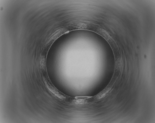 X0000085270092200703231752