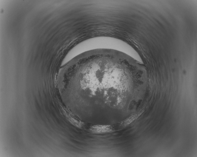 X0000085270093200703231752