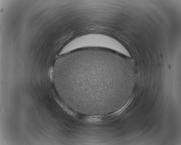 X0000085270094200703231752