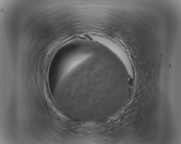 X0000085270097200703231751