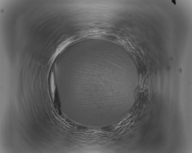 X0000085270099200703231751