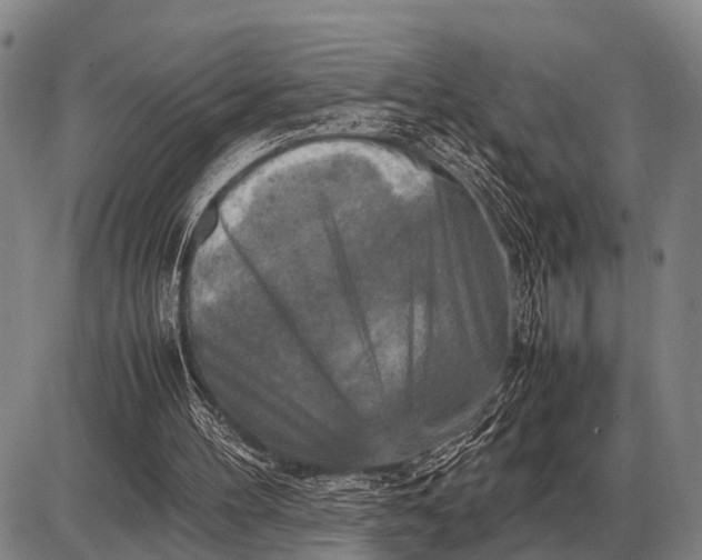 X0000085270100200703231751