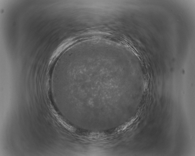 X0000085270101200703231751