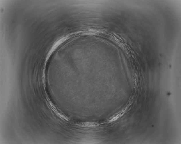 X0000085270102200703231751