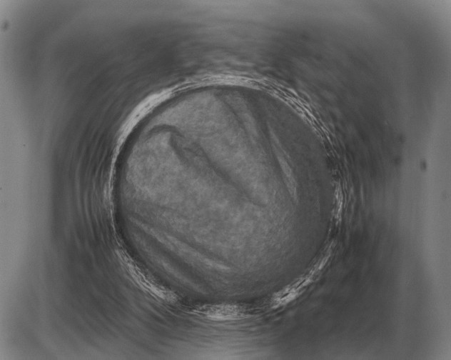 X0000085270104200703231751