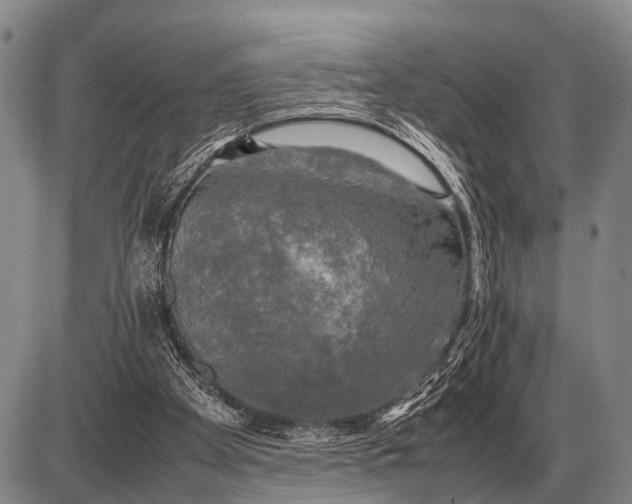 X0000085270105200703231751