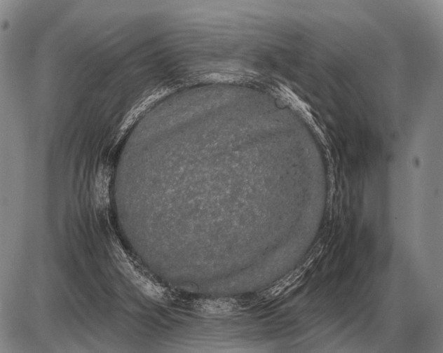 X0000085270106200703231751