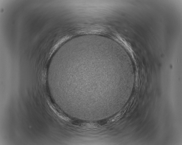 X0000085270107200703231751