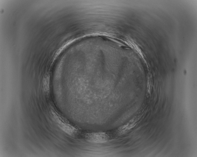 X0000085270108200703231751