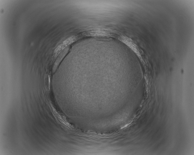 X0000085270109200703231751