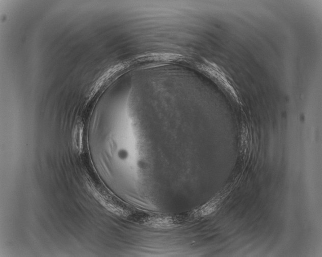 X0000085270110200703231751