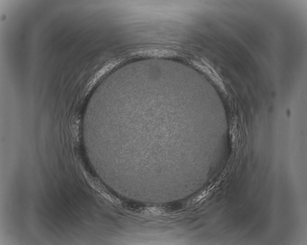 X0000085270111200703231751