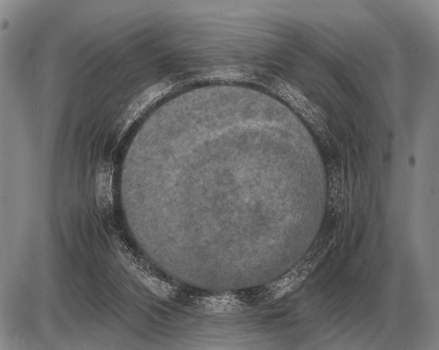 X0000085270112200703231751