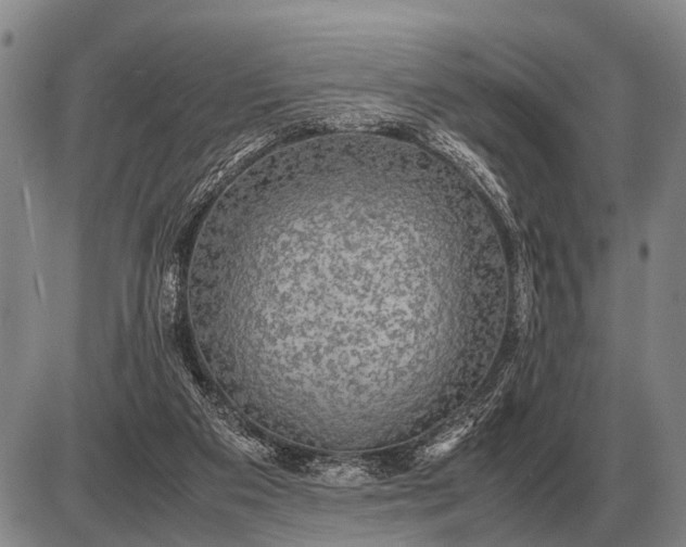 X0000085270113200703231751