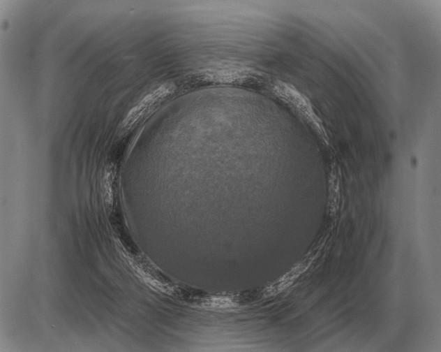 X0000085270114200703231751