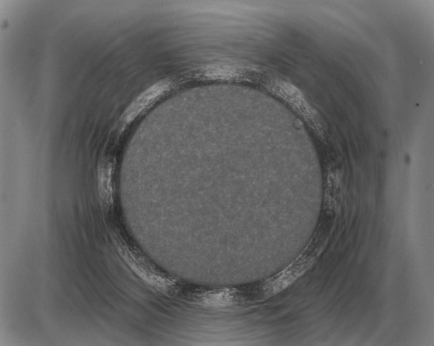 X0000085270116200703231751