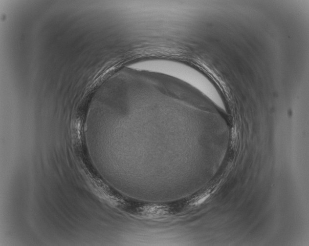 X0000085270117200703231751