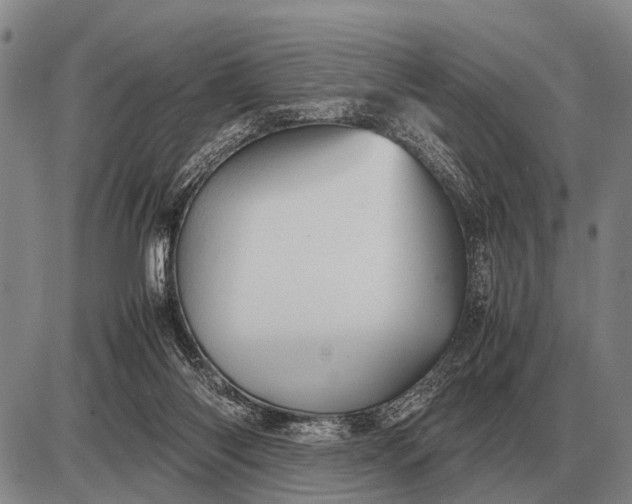 X0000085270118200703231751