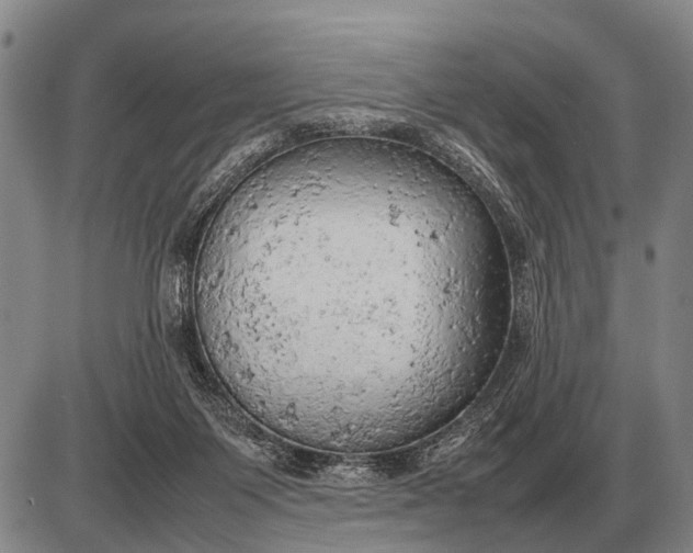 X0000085270119200703231751