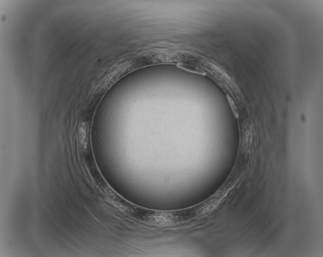 X0000085270121200703231751