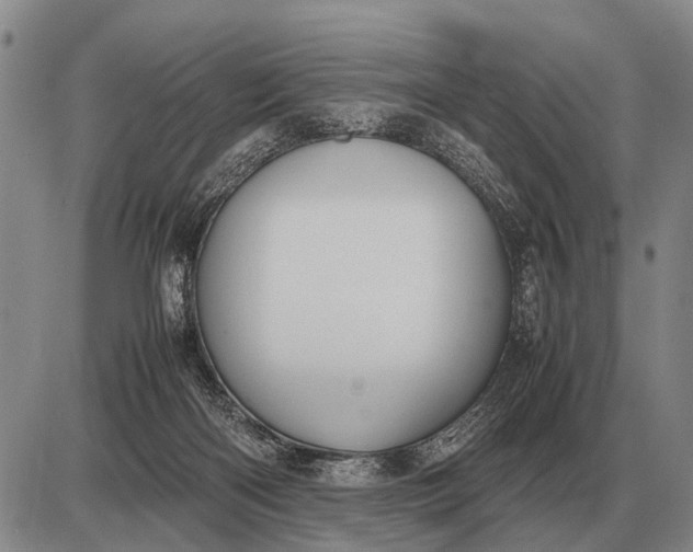 X0000085270122200703231751