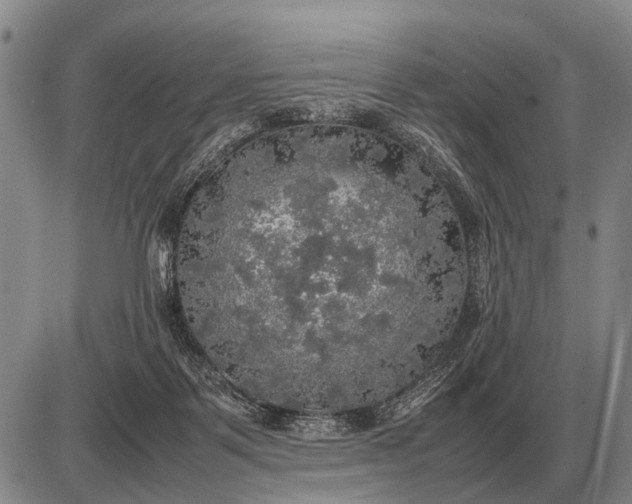 X0000085270123200703231751