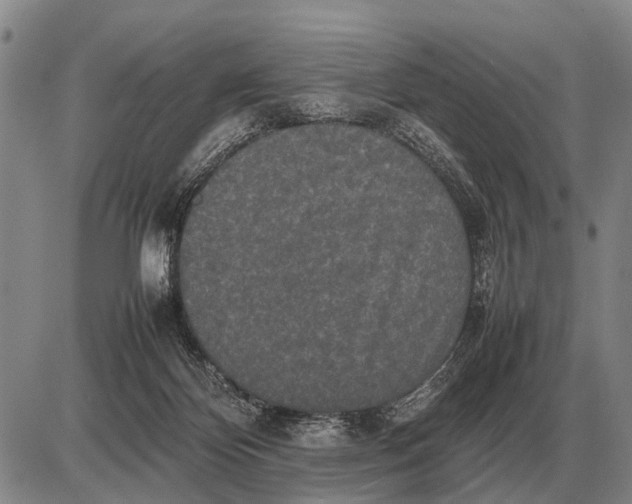 X0000085270124200703231751