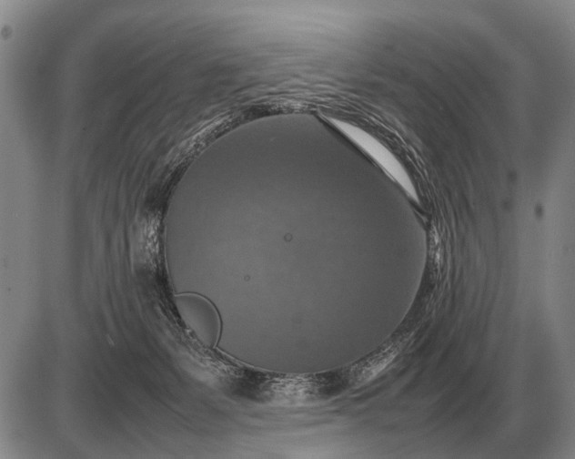 X0000085270127200703231751