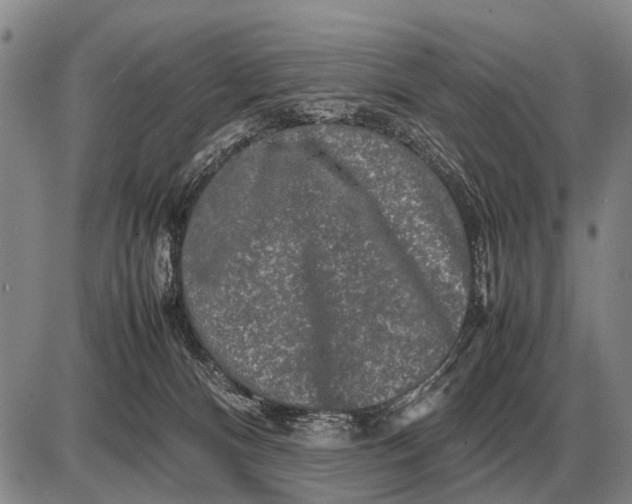 X0000085270128200703231751