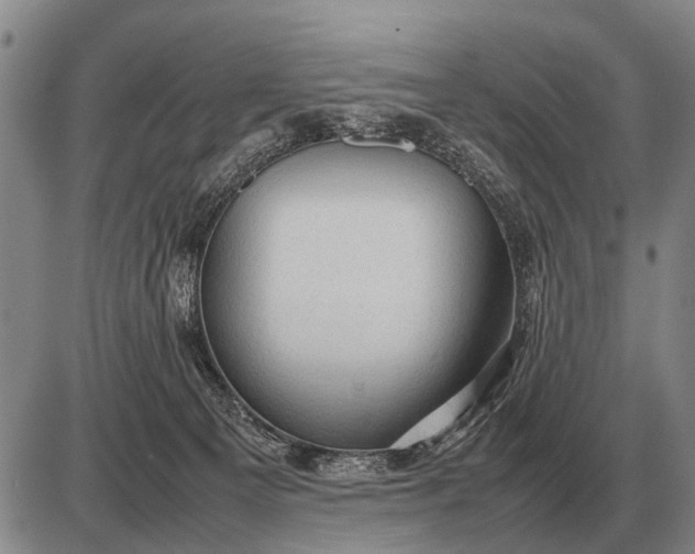 X0000085270129200703231751