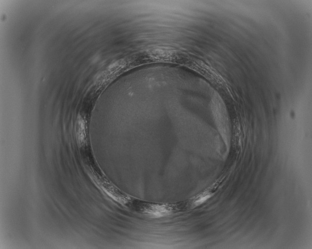 X0000085270130200703231750