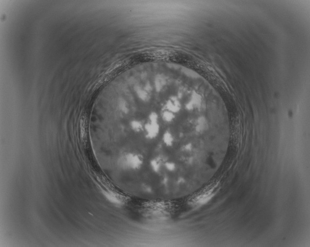 X0000085270131200703231750