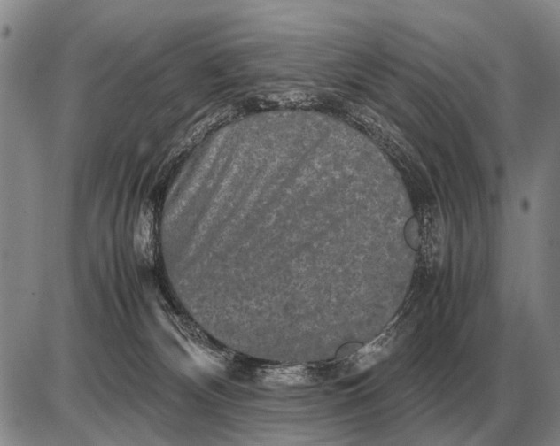 X0000085270132200703231750