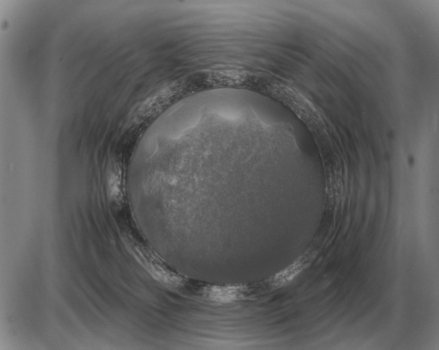 X0000085270134200703231750